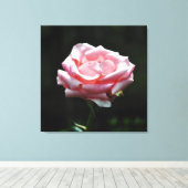 Roze Rose Close-up Canvas Afdruk (Insitu (Houten vloer))