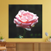 Roze Rose Close-up Canvas Afdruk (Insitu (Woonkamer))