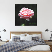 Roze Rose Close-up Canvas Afdruk (Insitu (Slaapkamer))