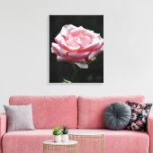 Roze Rose Close-up Canvas Afdruk (Insitu (Woonkamer))