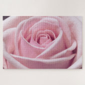 Roze Rose Close-up foto Legpuzzel (Horizontaal)