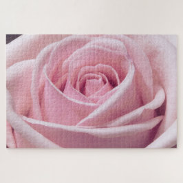 Roze Rose Close-up foto Legpuzzel