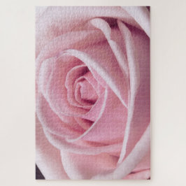 Roze Rose Close-up foto Legpuzzel