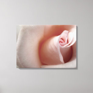 Roze Rose Cloud Canvas Afdruk