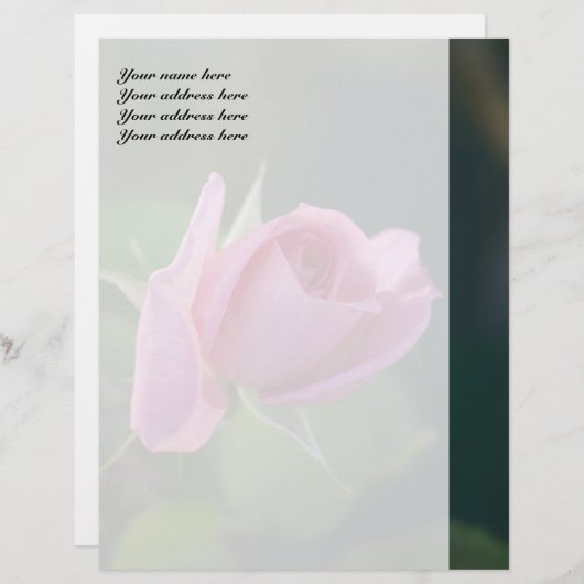 Roze Rose Custom Briefhoofd (Voorkant / Achterkant)