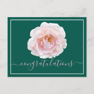 Roze Rose Cyan Achtergrond Gefeliciteerd Briefkaart