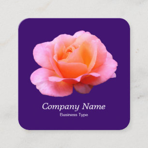 Roze Rose - Deep Paars Vierkante Visitekaartje