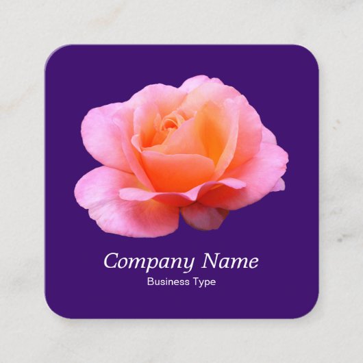 Roze Rose - Deep Paars Vierkante Visitekaartje (Voorkant)