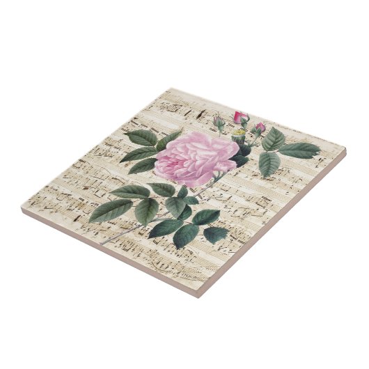 Roze Rose Dreamweaver Tegeltje (Zijkant)