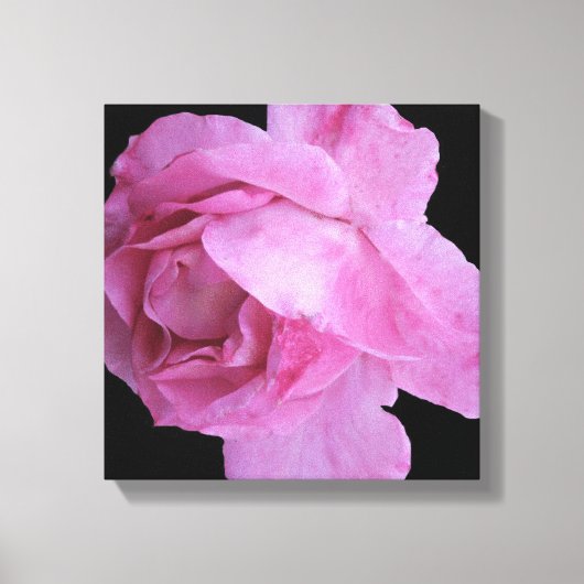 roze rose eenvoudige moderne stijlvolle floral ch canvas afdruk (Voorkant)