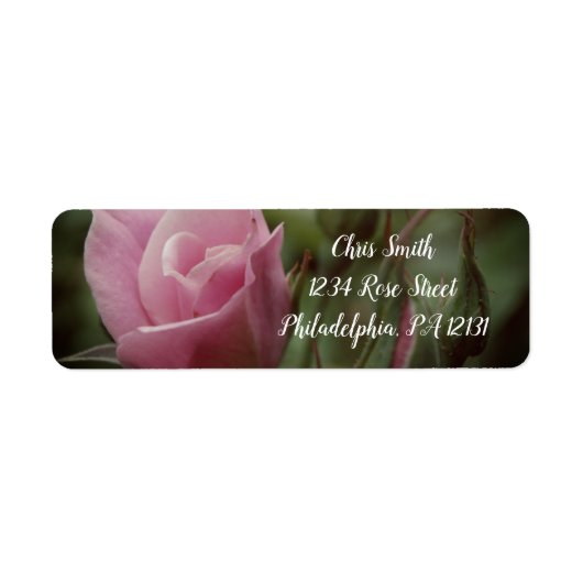 Roze Rose Elegant Return Address Label (Voorkant)