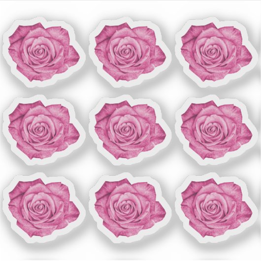 Roze Rose Elegante Bloemenplanner / Scrapbook Shee Sticker (Voorkant)