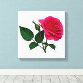 Roze Rose en Bud Canvas Afdruk (Insitu (Houten vloer))