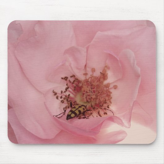 Roze Rose en een bug Photography Mousepad Muismat (Voorkant)
