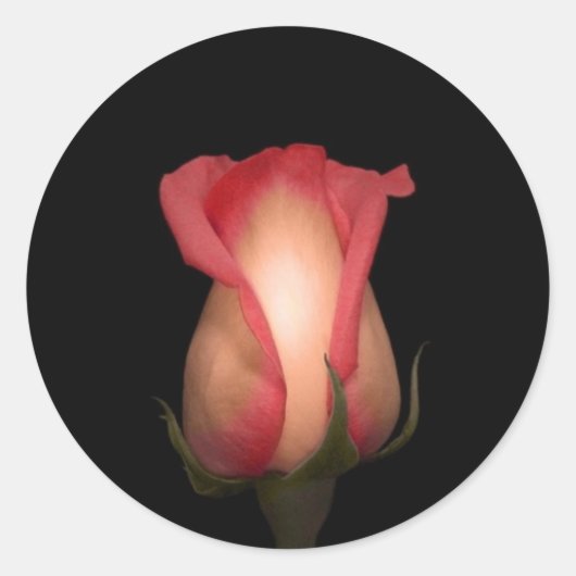 Roze Rose Envelope-zegels Ronde Sticker (Voorkant)