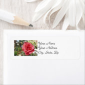 Roze Rose Etiket (Insitu)