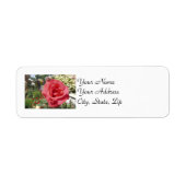 Roze Rose Etiket (Voorkant)
