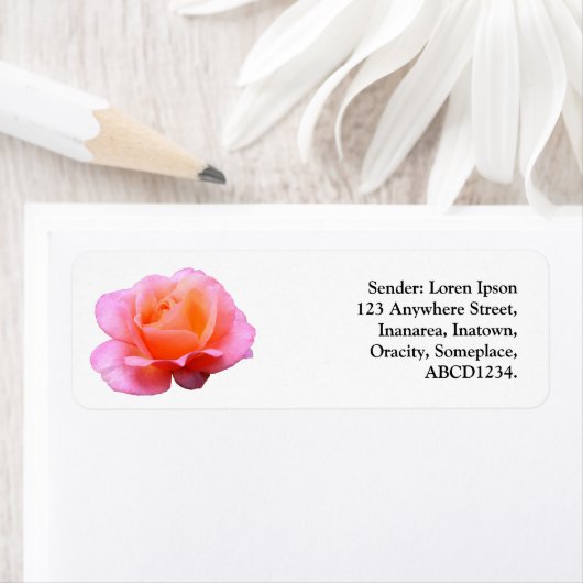 Roze Rose Etiket (Insitu)