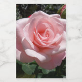 Roze Rose Etiket voor voedselverpakking (Enkel label)