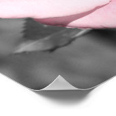 Roze Rose Faith Poster (Hoek)