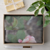  Roze Rose Floral Foto Tissuepapier (Geschenk)