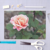  Roze Rose Floral Foto Tissuepapier (Craft)