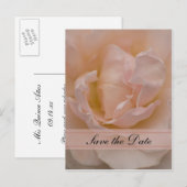 Roze Rose Floral Quinceañera Save the Date Aankondigingskaart (Voorkant / Achterkant)