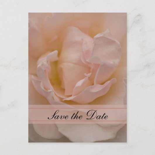 Roze Rose Floral Quinceañera Save the Date Aankondigingskaart (Voorkant)