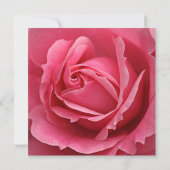 Roze Rose Flower 80th Birthday Party Kaart (Achterkant)