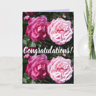Roze Rose Flower Floral Congatulation art Kaart