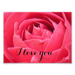 Roze Rose Foto Foto Afdruk