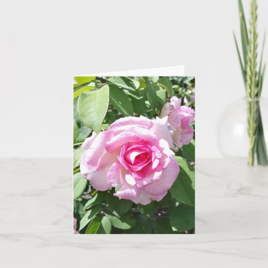 Roze Rose Foto gevouwen Note Kaart (Voorkant)