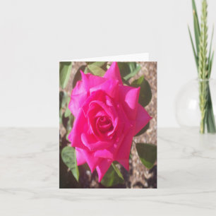 Roze Rose Foto gevouwen Note Kaart