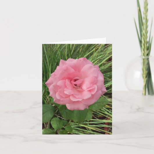 Roze Rose Foto gevouwen Note Kaart (Voorkant)