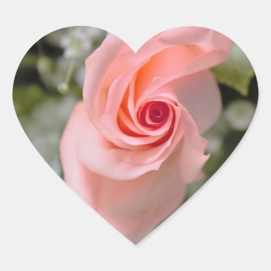 Roze Rose Foto Hart Sticker (Voorkant)