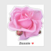 Roze Rose Foto Sticker (Vel)
