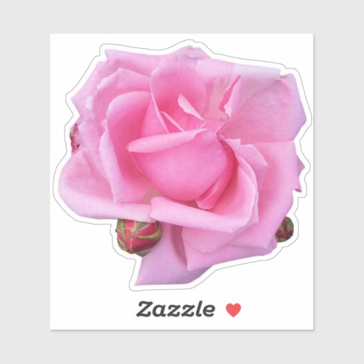 Roze Rose Foto Sticker (Vel)