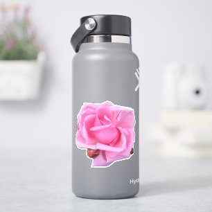 Roze Rose Foto Sticker