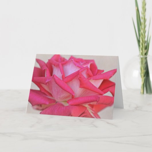  Roze Rose Fotografische Art Note Kaart (Voorkant)