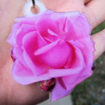 Roze Rose Fotosculptuur Fotobeeldje Ornament<br><div class="desc">Mijn foto is genomen van een sleutelhanger die ik gekocht heb. De roze roze roze roze foto is genomen in een roos tuin die ik in Portland,  Oregon,  bezocht. Twee ongeopende knoppen met het geïsoleerde afbeelding.</div>
