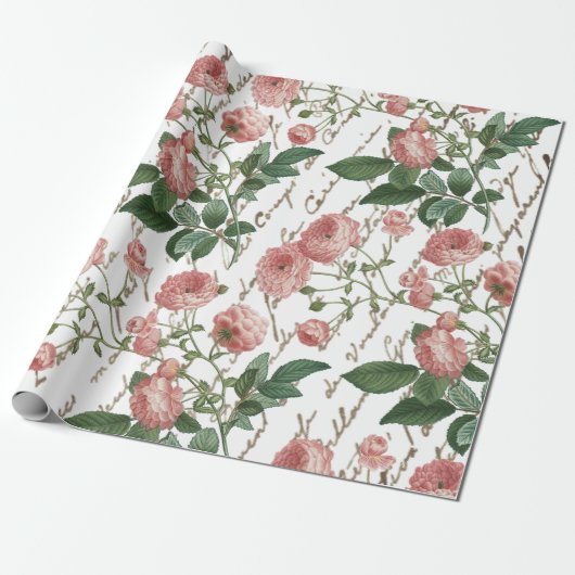 Roze Rose  Frans Script Gouden Tekst Cadeaupapier (Uitgerold)