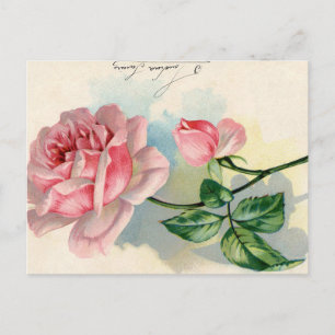 Roze Rose Frans Script  Valentijn Briefkaart