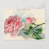 Roze Rose Frans Script  Valentijn Briefkaart (Voorkant)
