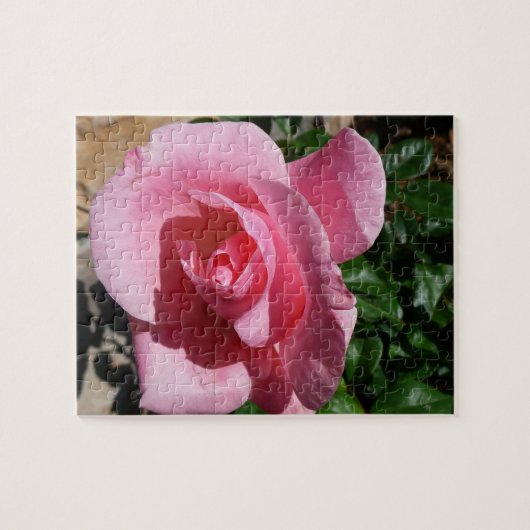 Roze Rose Garden Floral Legpuzzel (Horizontaal)
