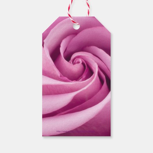 Roze Rose gevouwen tot perfectie Cadeaulabel (Achterkant)