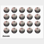 Roze Rose Glitter Rozen Donker Floral Glam Favor Ronde Sticker (Vel)
