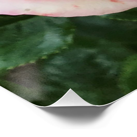 Roze Rose Glossy Poster (Hoek)