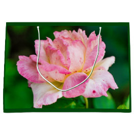Roze Rose Groot Cadeauzakje