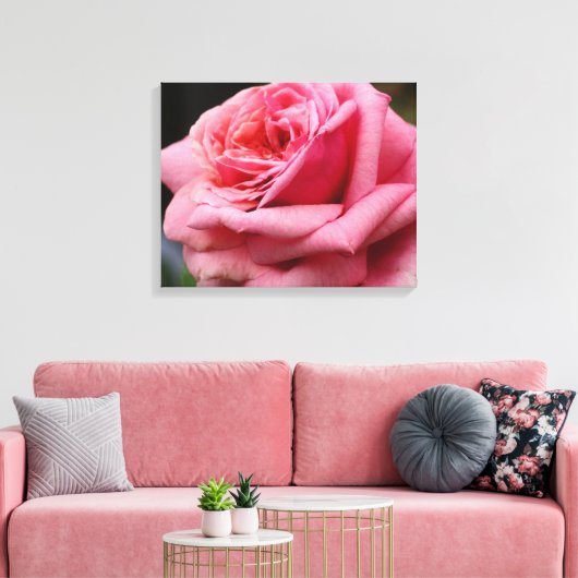 Roze Rose I Floral fotografie Canvas Afdruk (Insitu (Woonkamer))