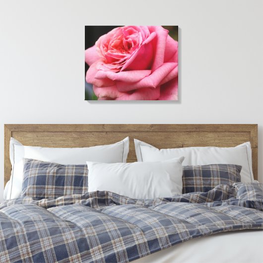 Roze Rose I Floral fotografie Canvas Afdruk (Insitu (Slaapkamer))